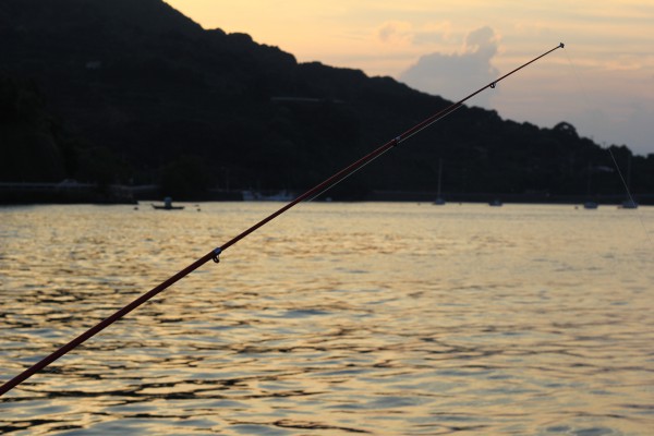 夕暮れの釣り