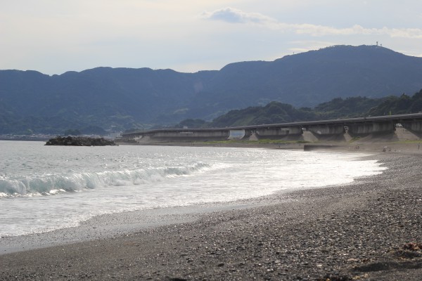 蒲原の海